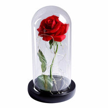 Load image into Gallery viewer, LED Rose Flower Light Black Base Glass