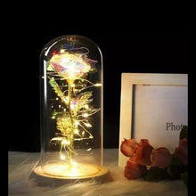 Load image into Gallery viewer, LED Rose Flower Light Black Base Glass
