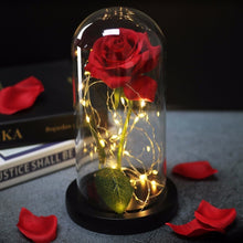 Load image into Gallery viewer, LED Rose Flower Light Black Base Glass