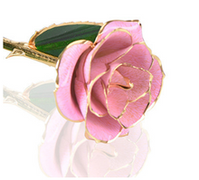 Load image into Gallery viewer, 24K Gold Dipped Eternity-protected Rose