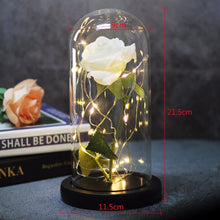 Load image into Gallery viewer, LED Rose Flower Light Black Base Glass