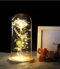 Load image into Gallery viewer, LED Rose Flower Light Black Base Glass