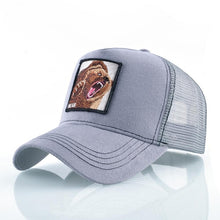 Load image into Gallery viewer, HOT! Fashion Animals Embroidery Baseball Caps Unisex Streetwear