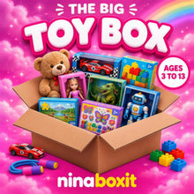 Load image into Gallery viewer, Big Toy Box

